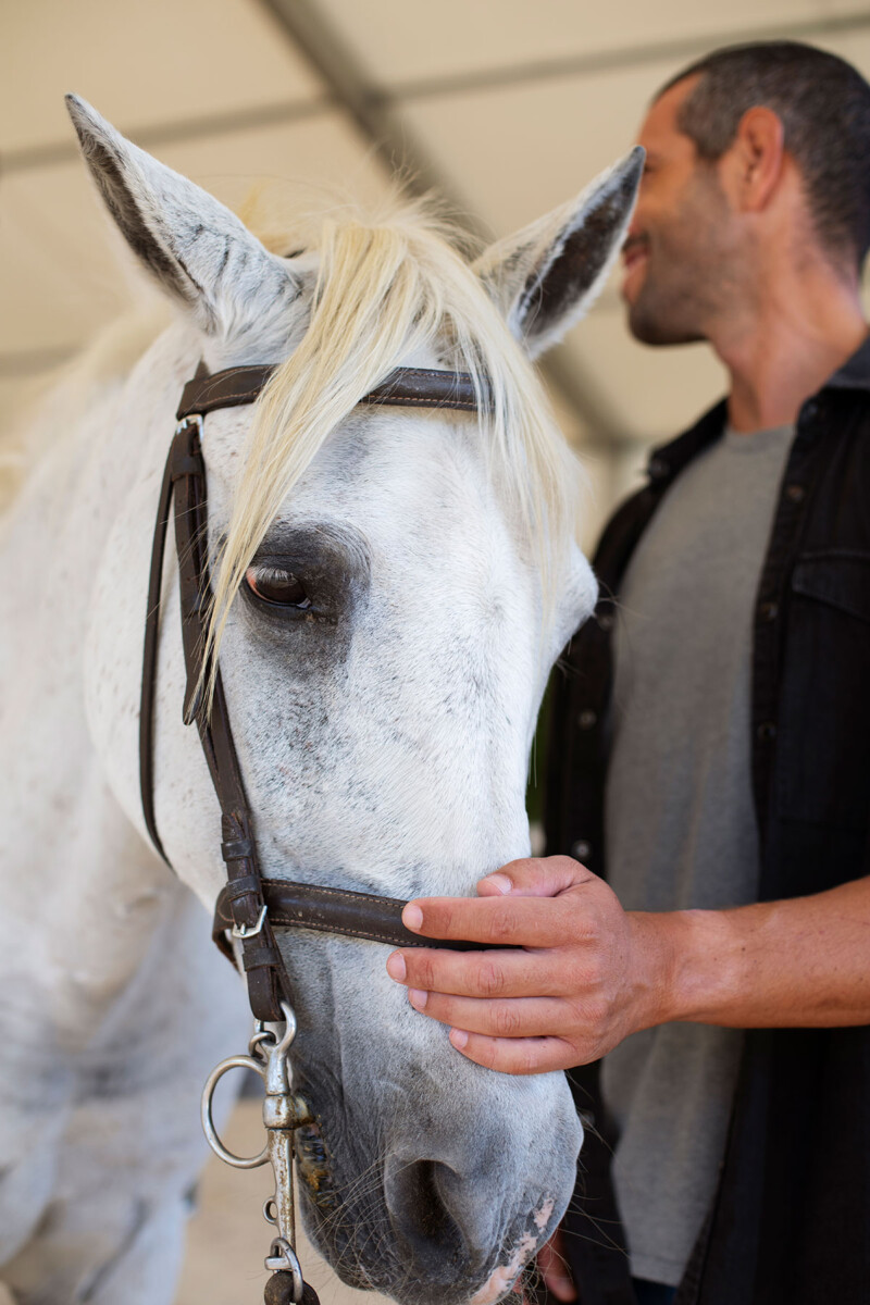 In galop naar internationale groei